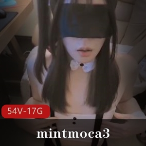 OnlyFansTS-mintmoca3大雕合集：女孩涂油前列腺冲击隆球下载54个视频总17G